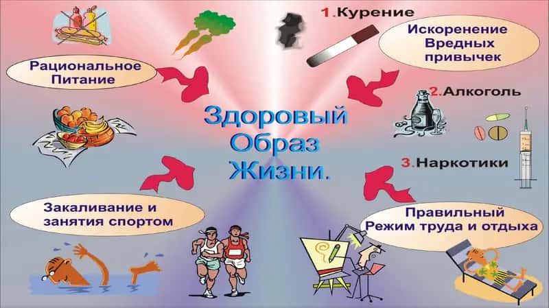 Рациональное питание 2