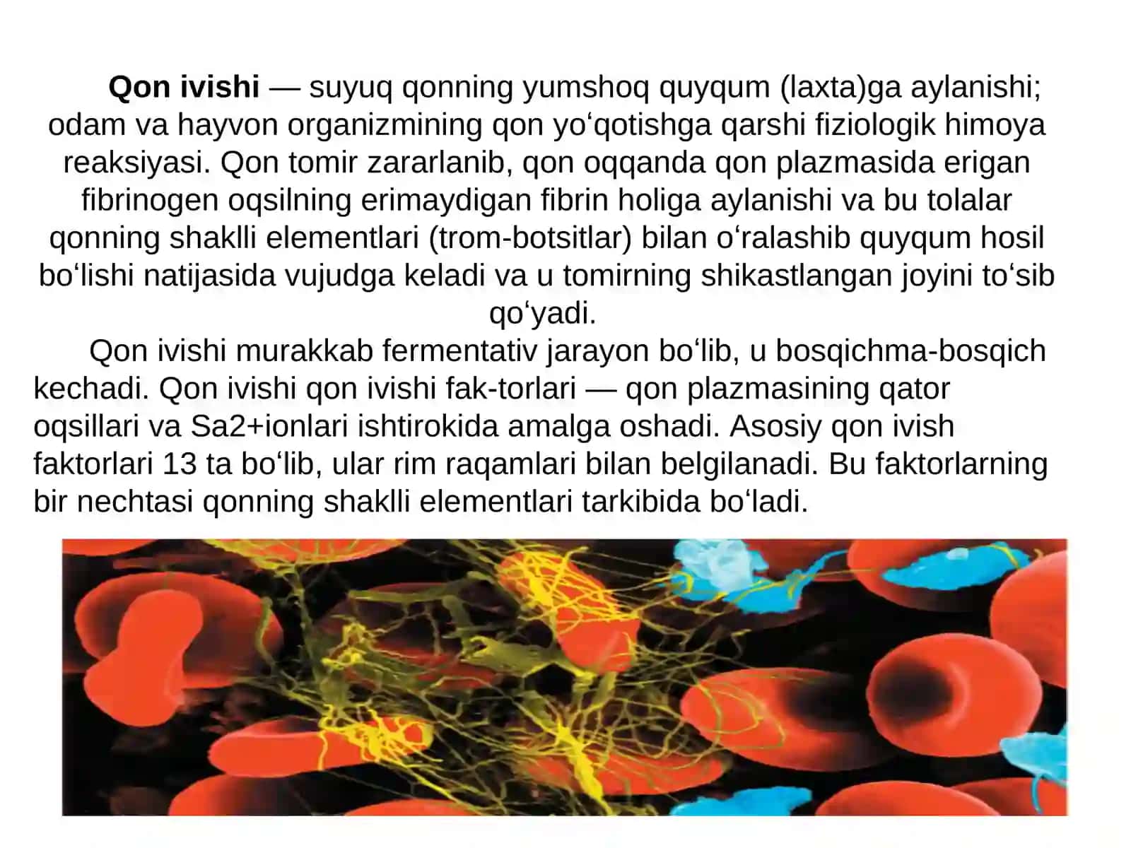 Normal qon ivish tizimi 2
