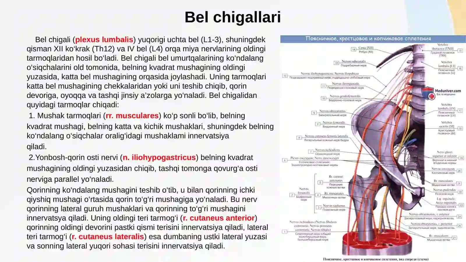 Bel chigallari 2