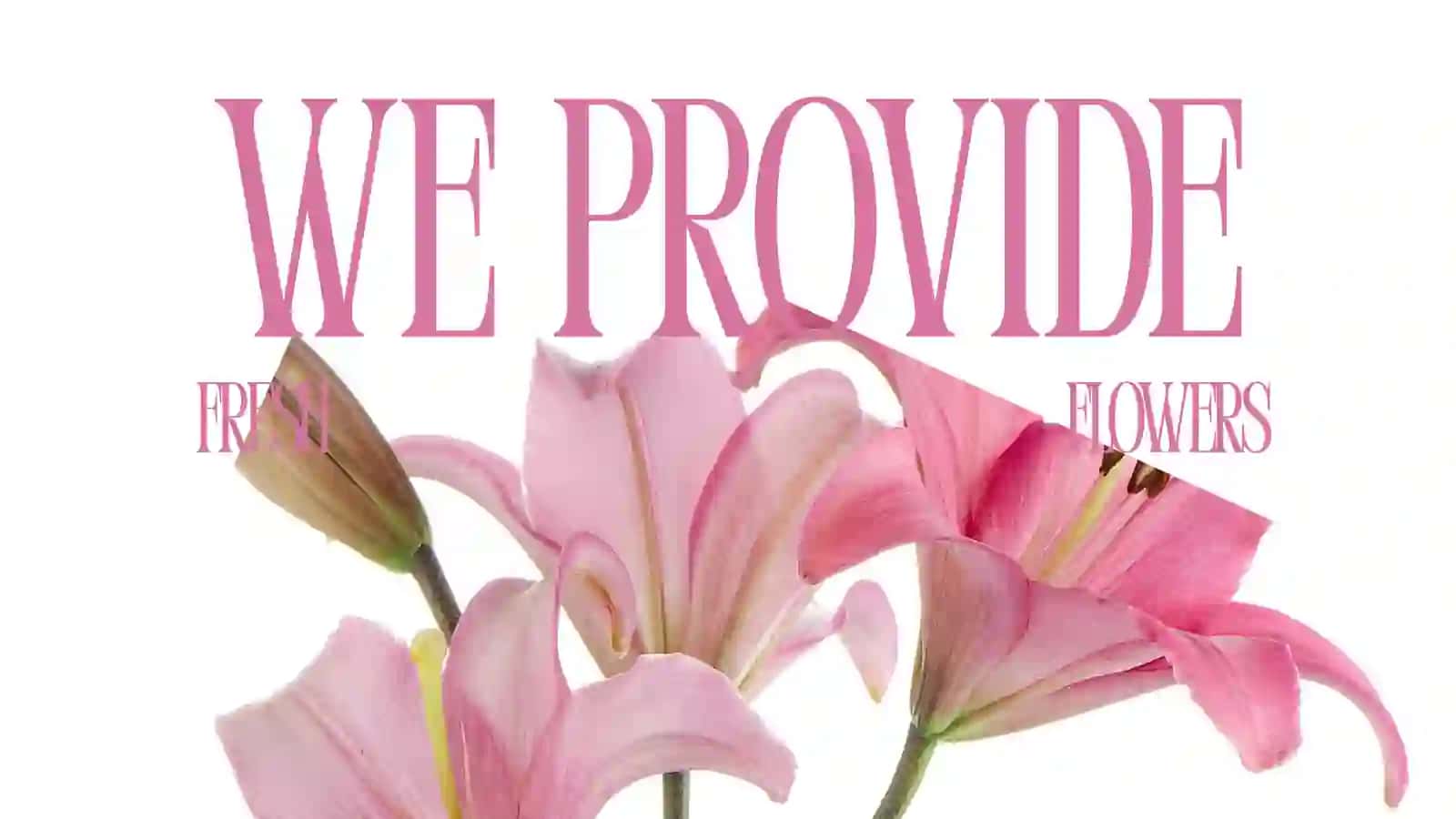 Premium Flower Presentation Template 2