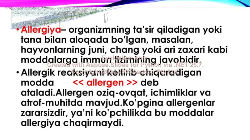 ALLERGIYA 2
