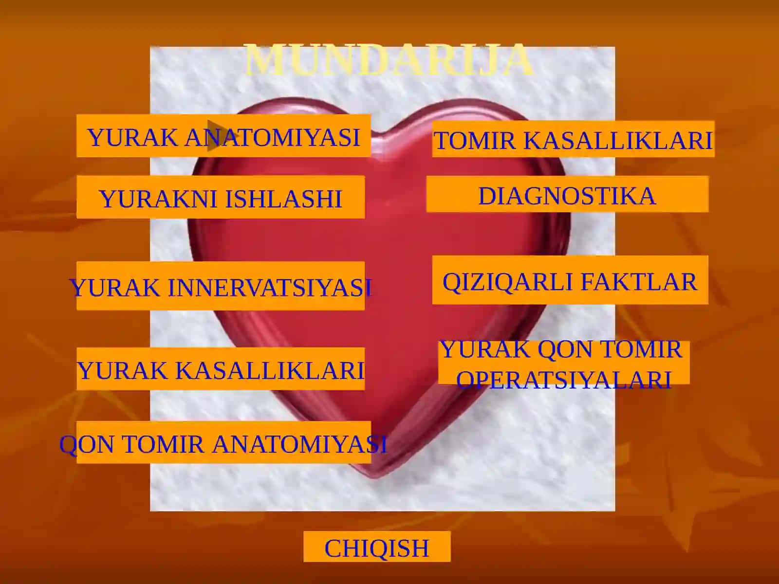YURAK ANATOMIYASI 2