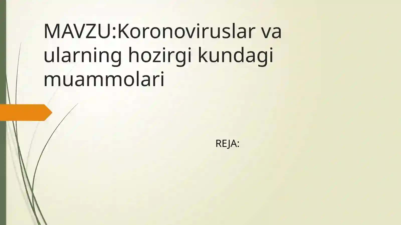 Koronaviruslar va ularning hozigika muammolari 2