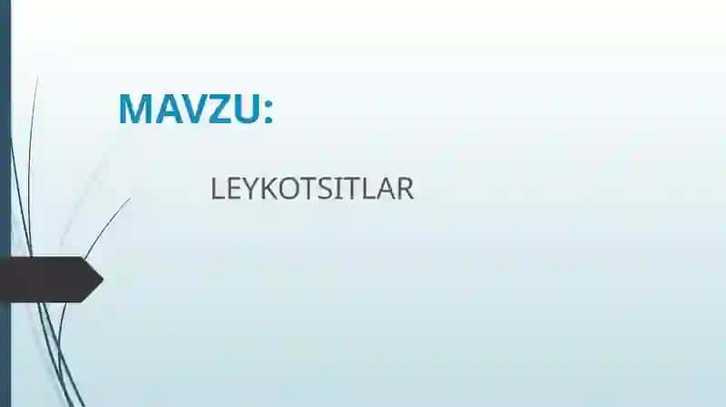 leykositlar 2