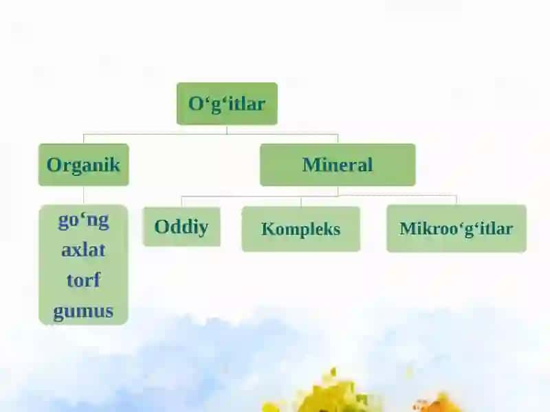 Mineralo‘g‘itlar 2