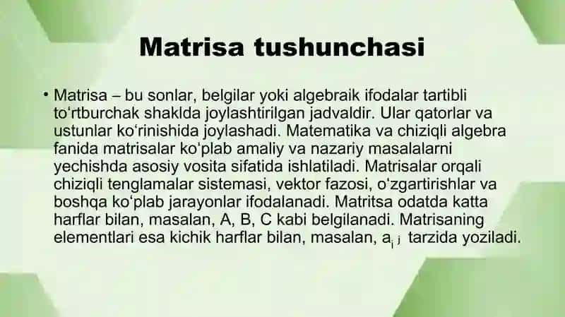 Matrisa 2