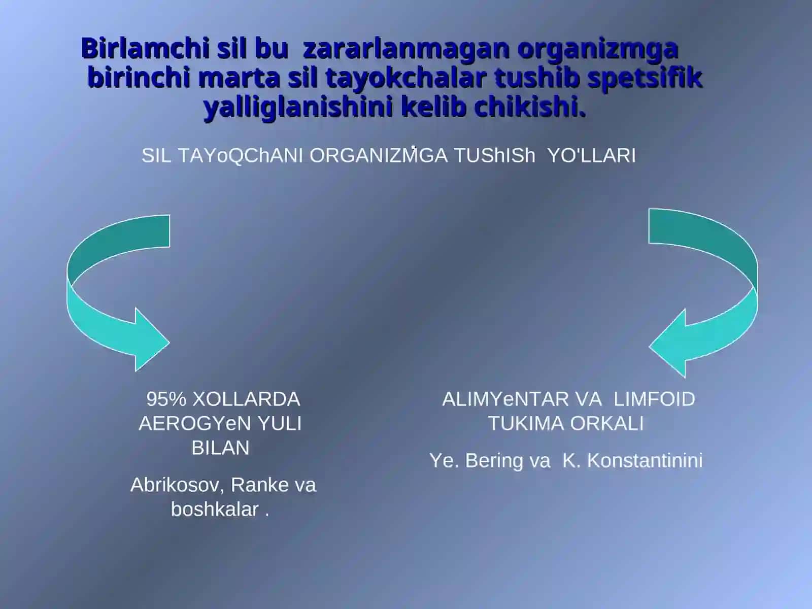 Birlamchi sil 2