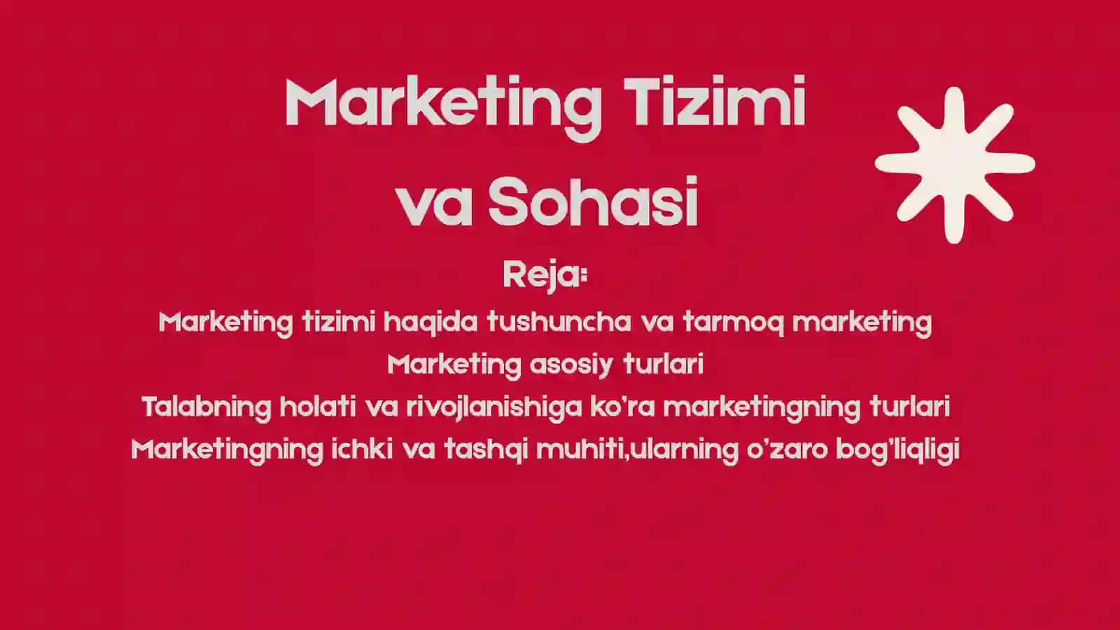 Marketing Tizimi va Sohasi 2