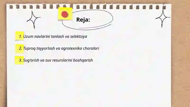 Uzumchilikning asosiy yo'nalishi 2