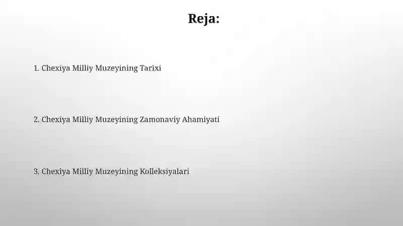 Chexiya milliy muzeyi 2