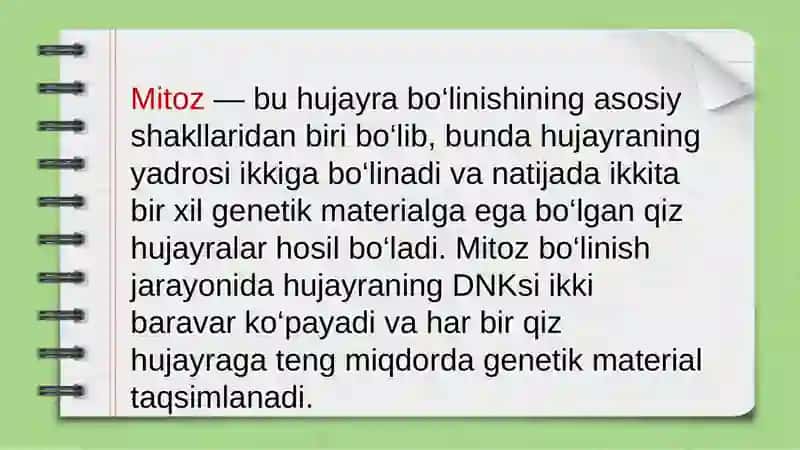 MitozMeyoz 2