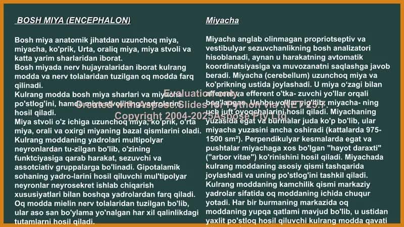 Bosh miya va miyacha 2