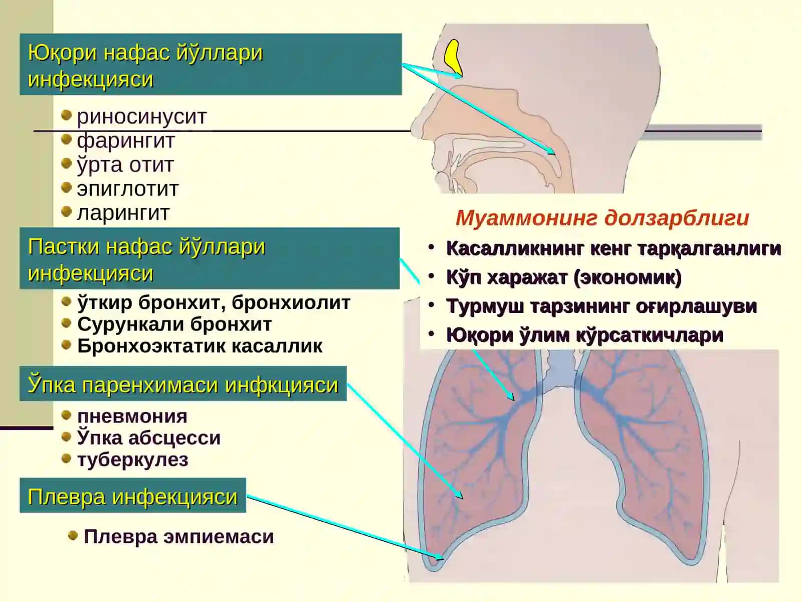 Болалардаги Пневмония 2