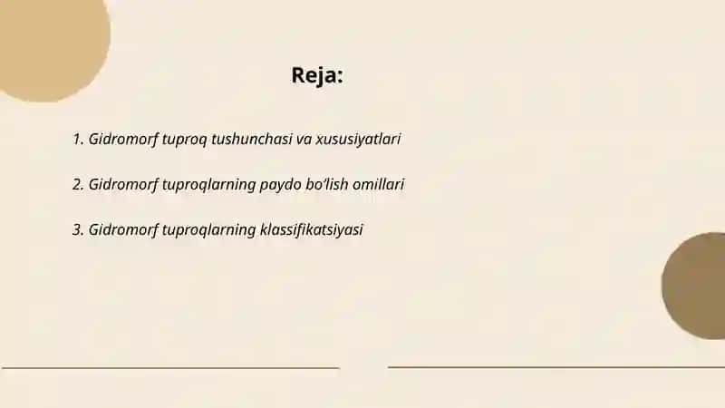 Gidromorf tuproqlar 2