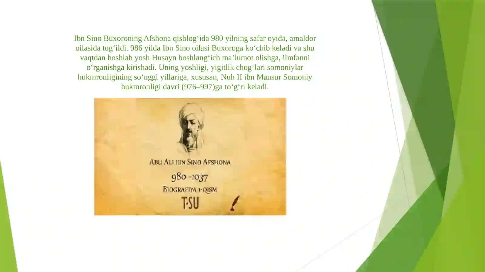 Abu Ali ibn Sino 2