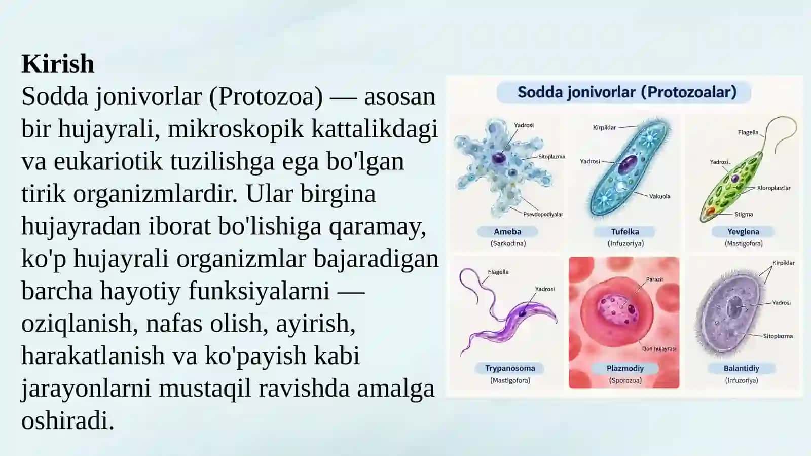 Soddajonivorlar 2