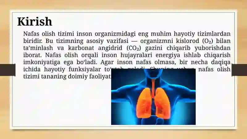Nafas olish tizimi 2