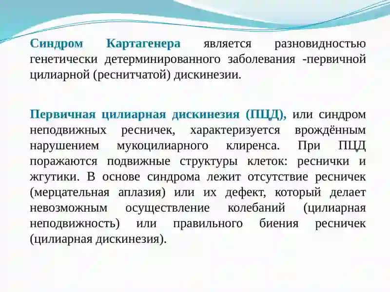 Синдром Картагенера 2