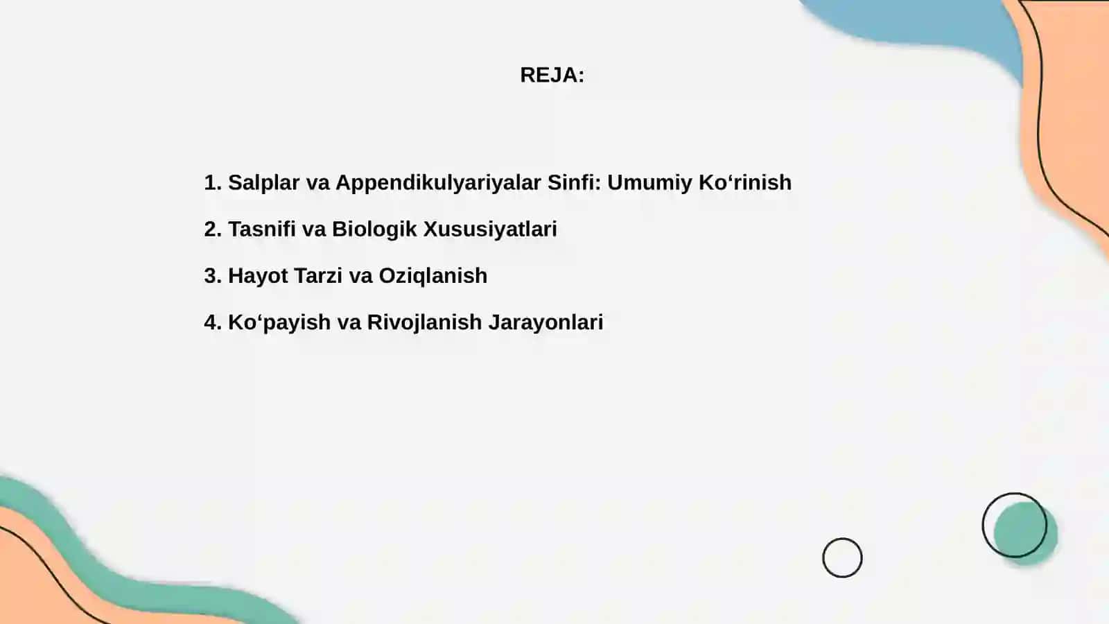 Salplar va Appendikulyariyalar Sinfi 2