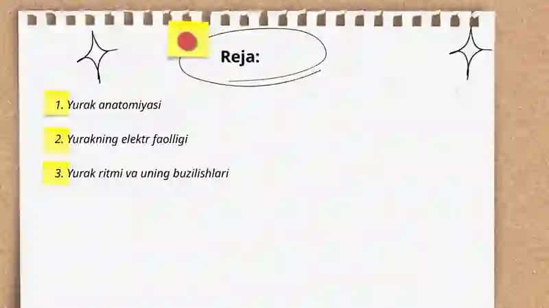Yurak qon tomir sistemas 2