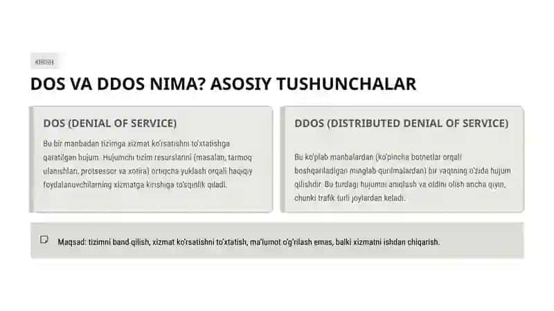 Dos va DDos hujumlari 2