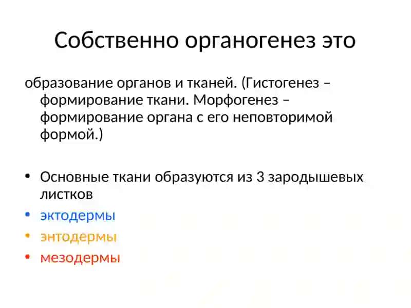 ОРГАНОГЕНЕЗ 2