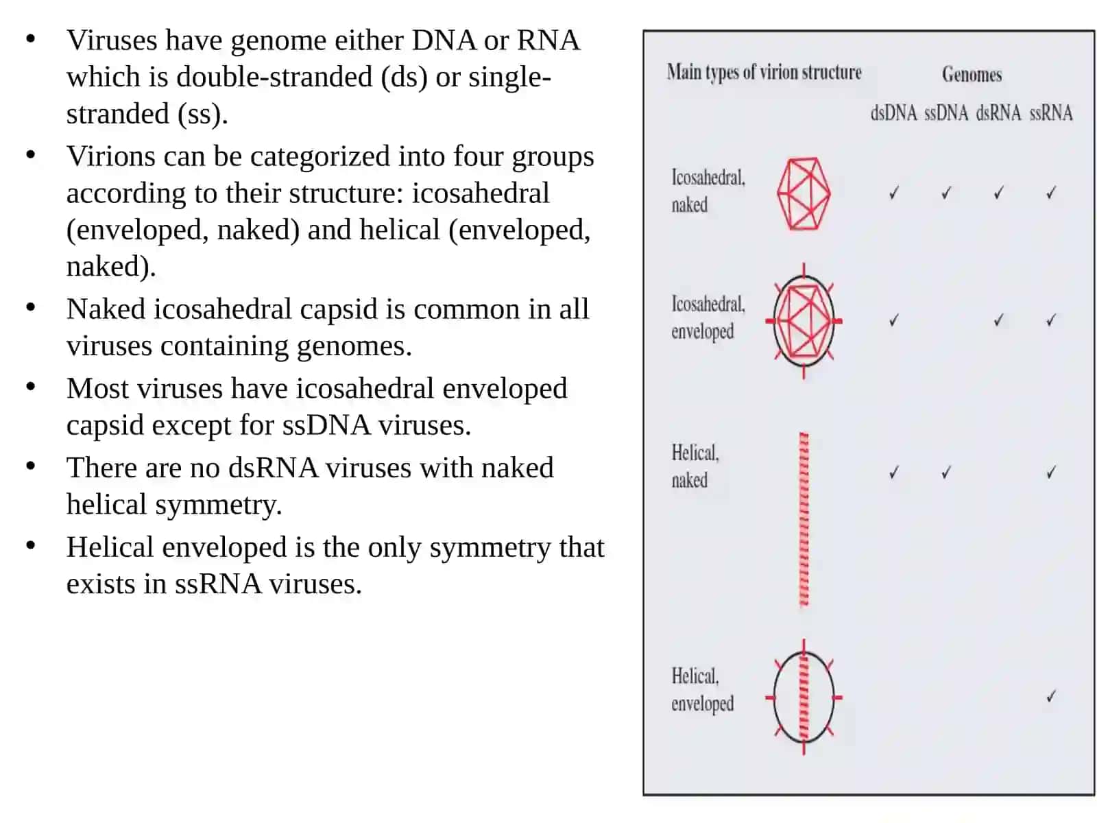 Virus structure Lecture Two 2