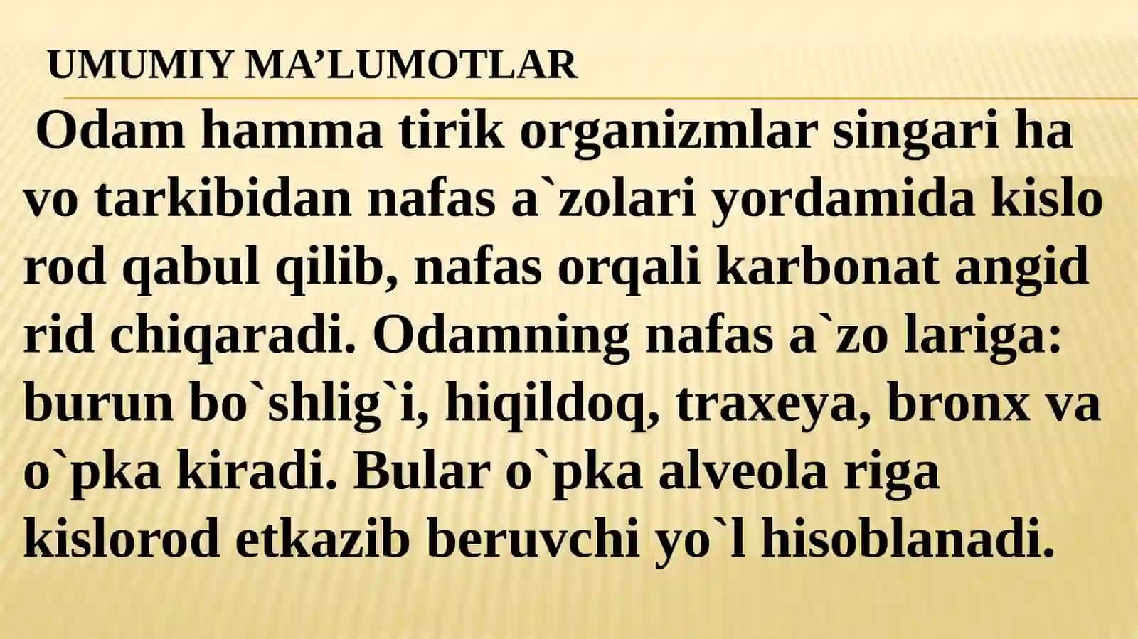 NAfas A`zolari Tizimi 2