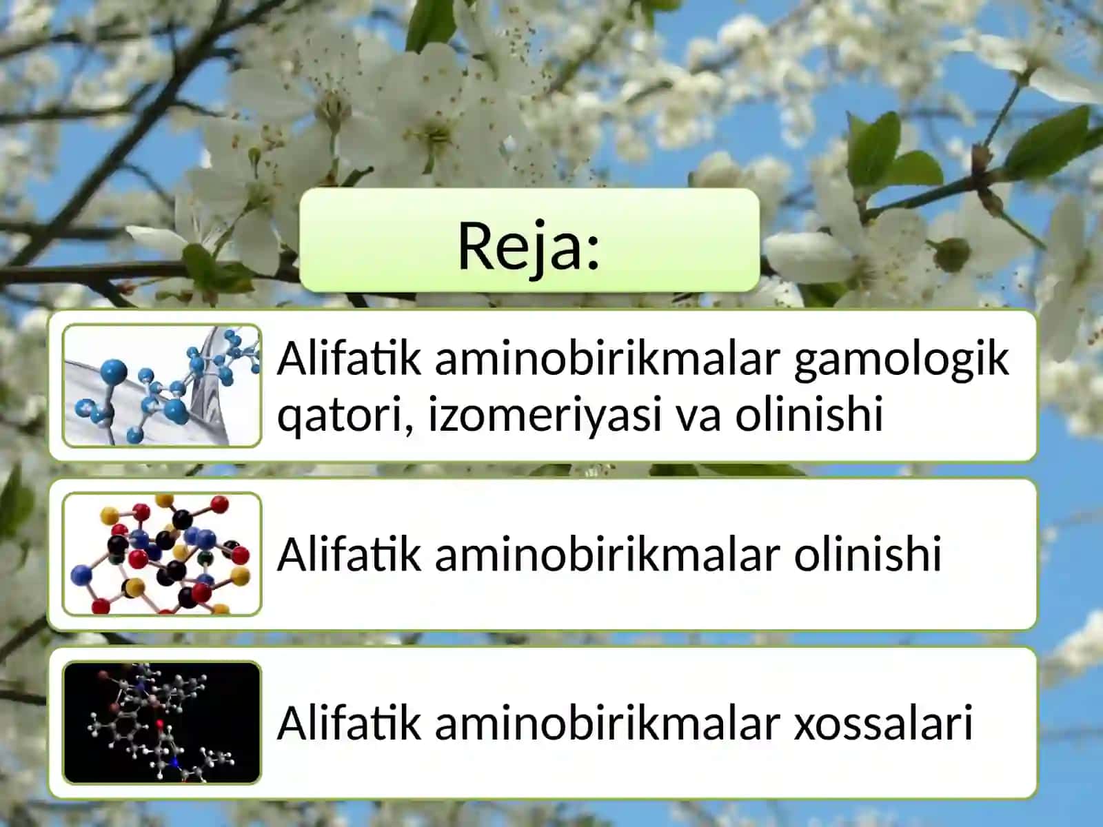 Amino birikmalar. Alifatikamino birikmalar 2