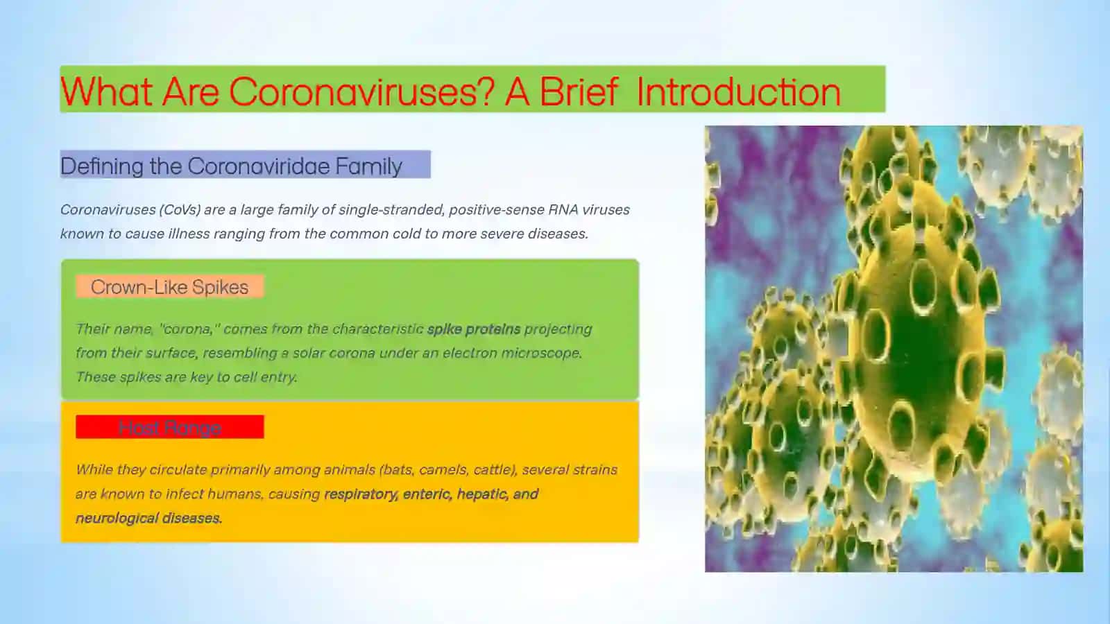 Coronavirus English translated 2
