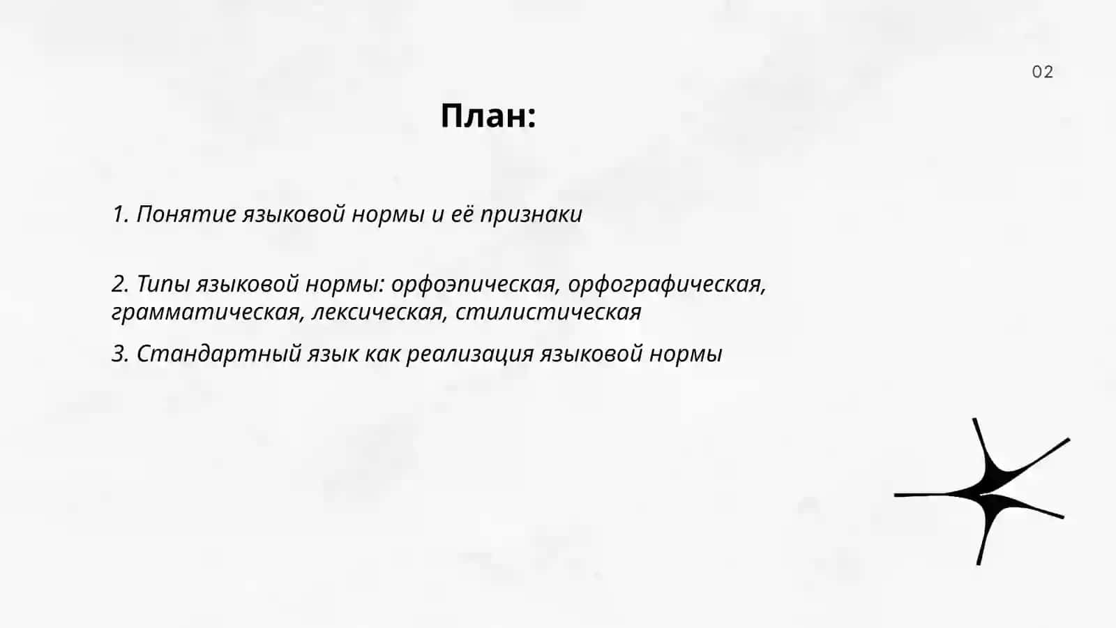 Языковая норма 2
