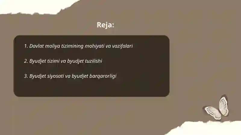 Davlat moliya tizimi 2