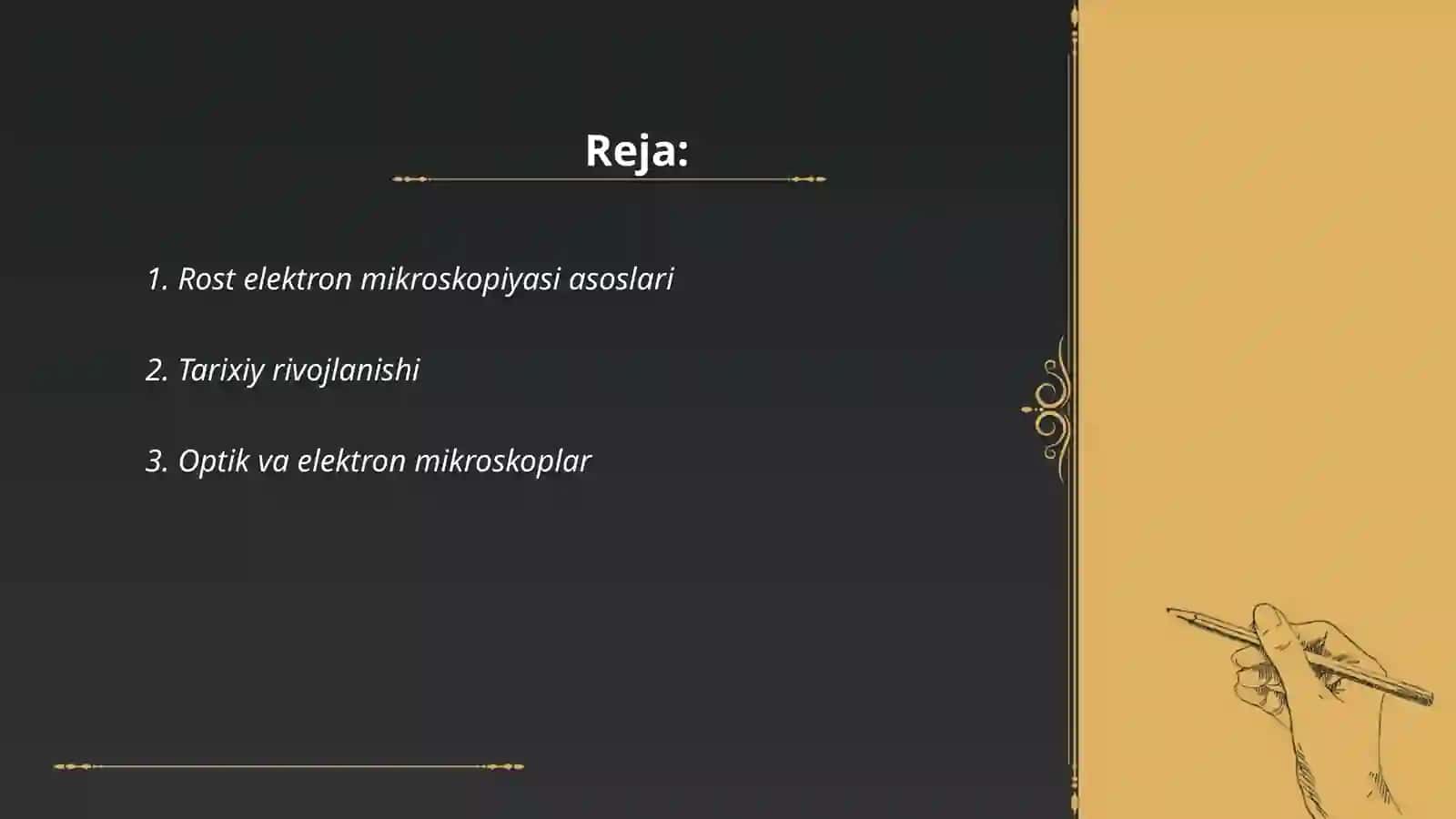 Rostr elektron mikroskopiyasi 2
