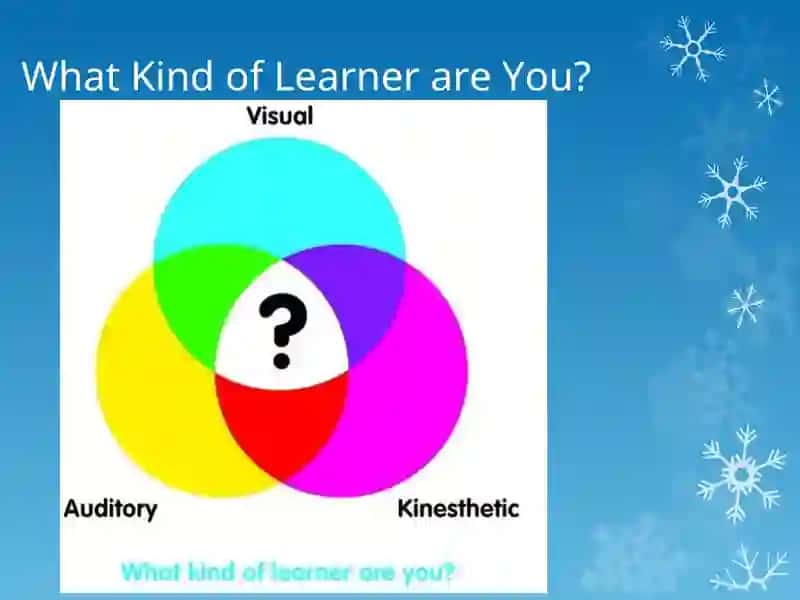 Different Types of Learners 2