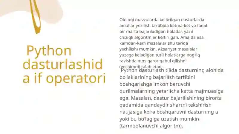 Python dasturlash tilining if operatori 2