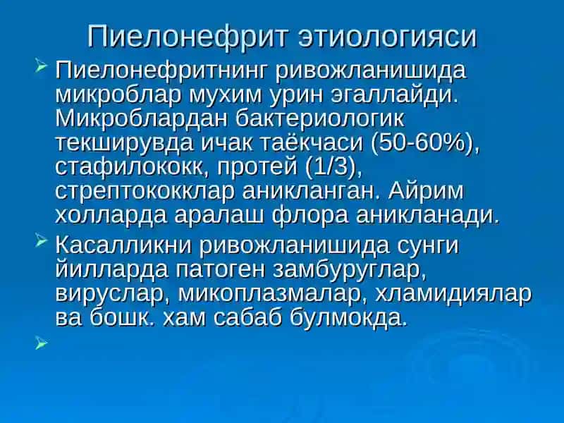 Пиелонефрит 2