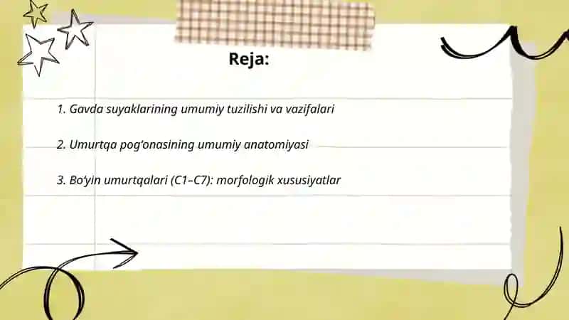Anatomiya 2