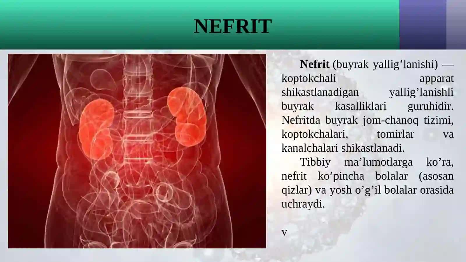 NEFRITLAR 2