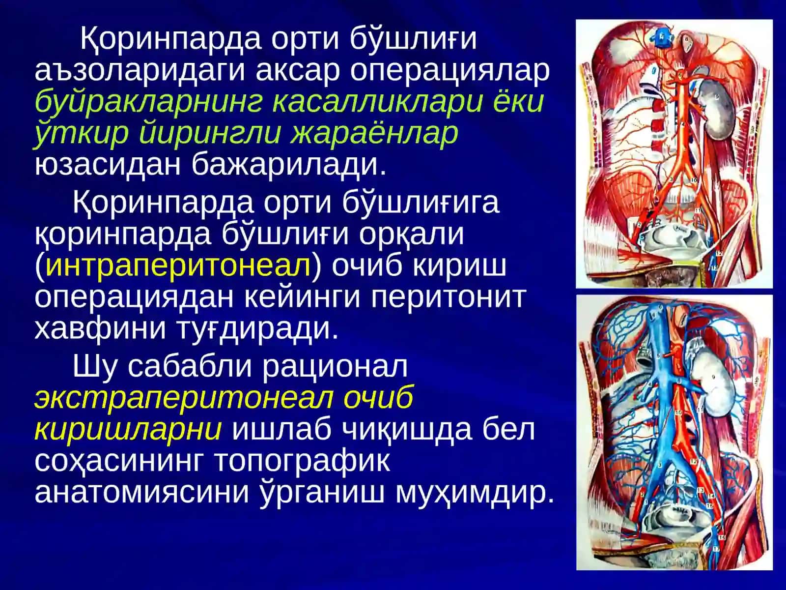 Қоринпарда орти бўшлиғи 2