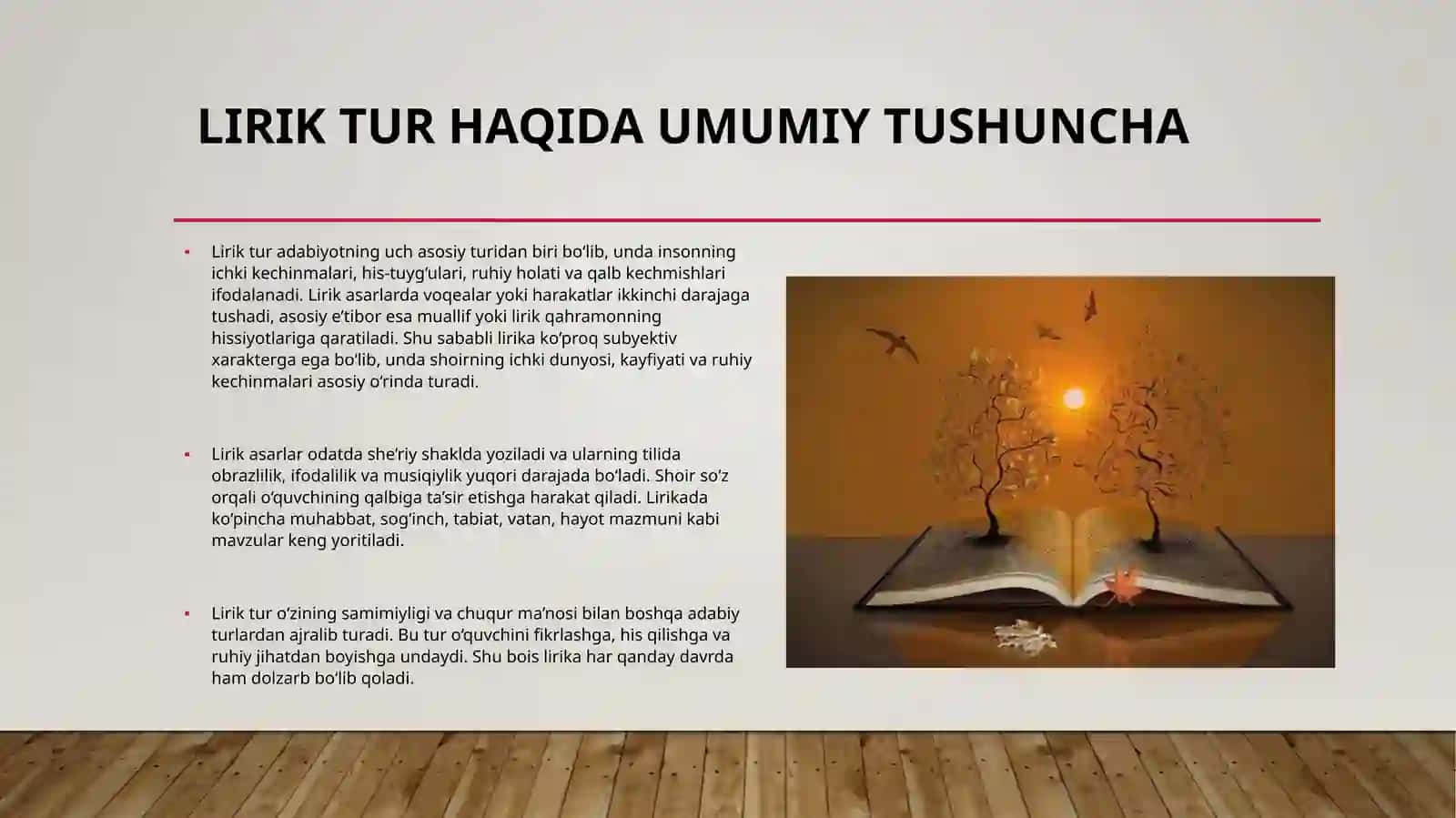 Lirik tur haqida umumiy tushuncha 2
