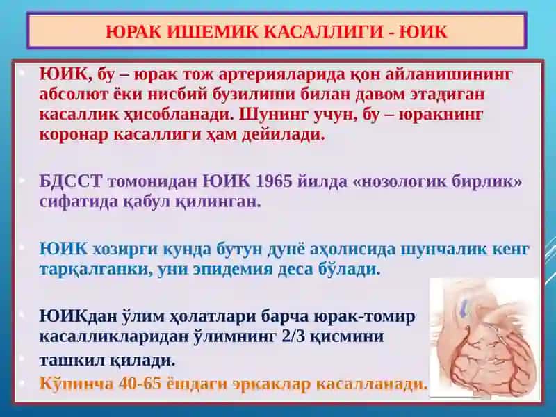 ЮРАК ИШЕМИК КАСАЛЛИГИ - ЮИК 2