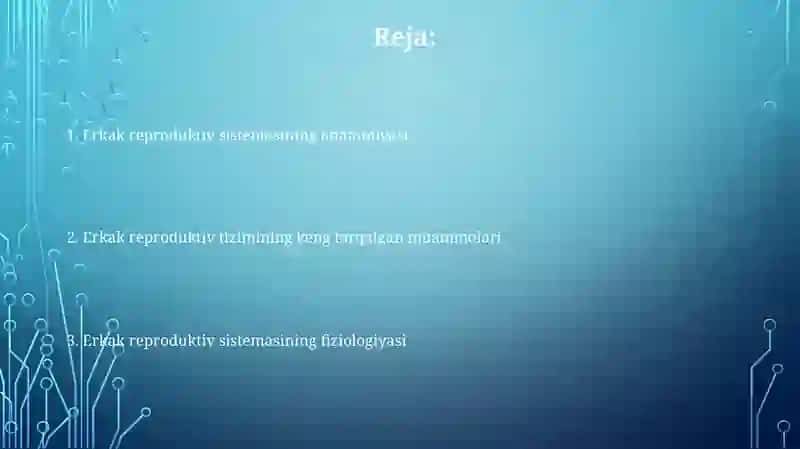 Erkaklar jinsiy tizimi 2