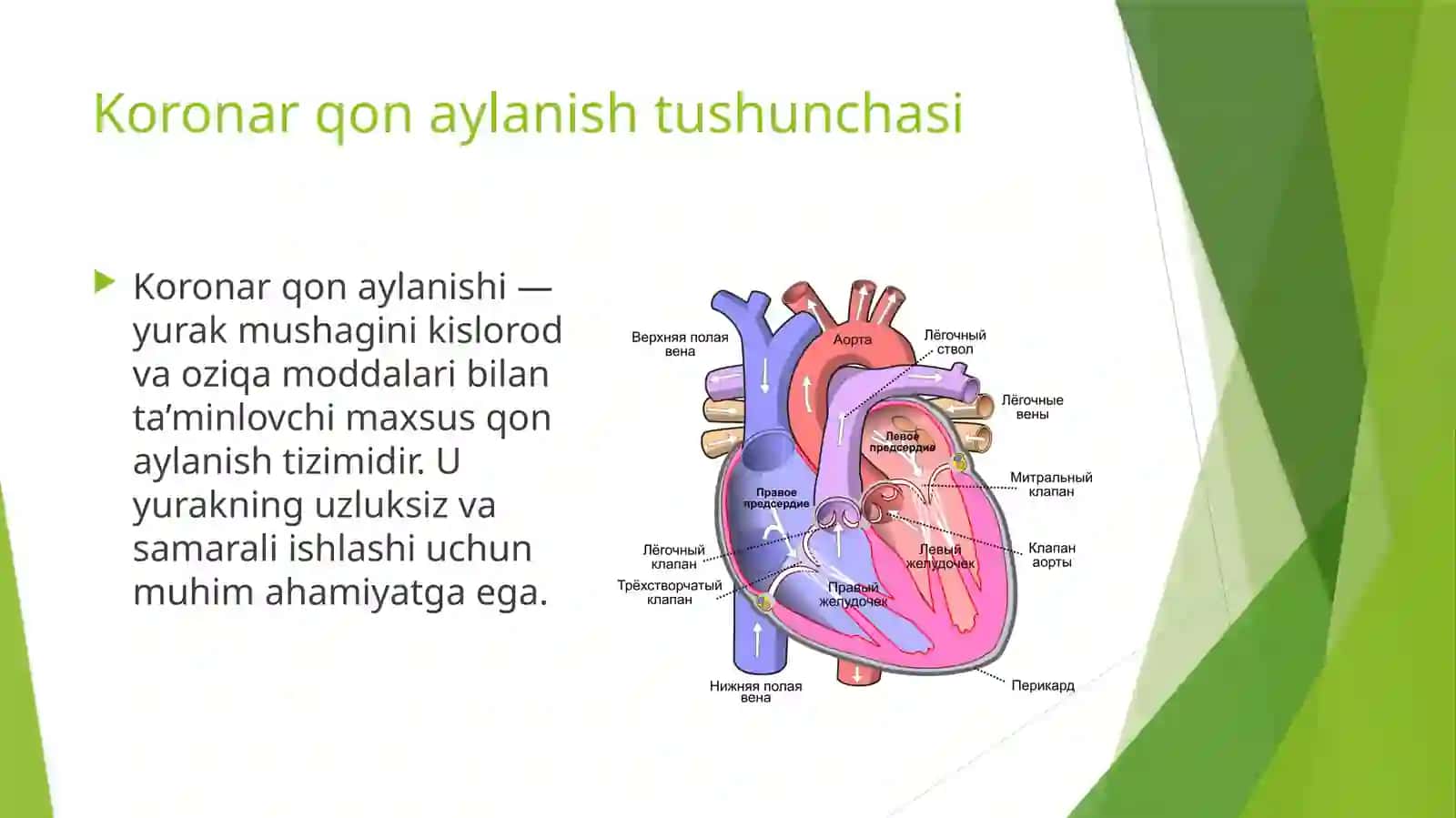 Koronartomirlardaqonaylanishi 2