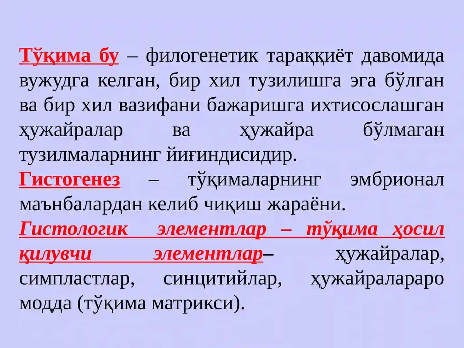 ЭПИТЕЛИЙ ТЎҚИМАСИ 2