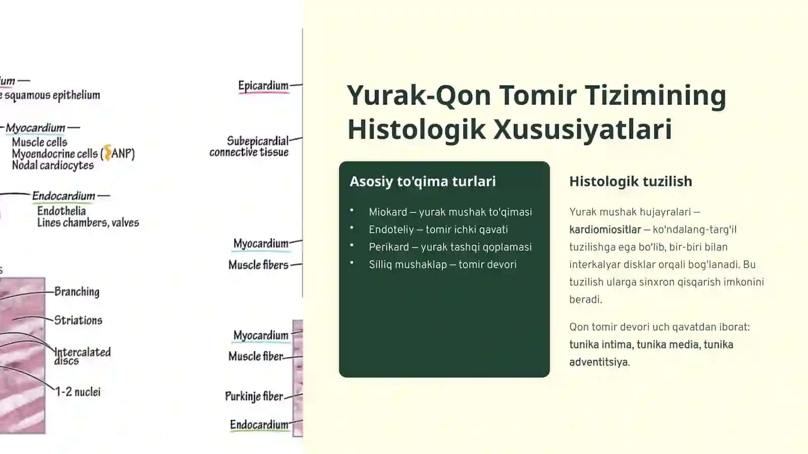 regenatorlar va kompensatorlar 2