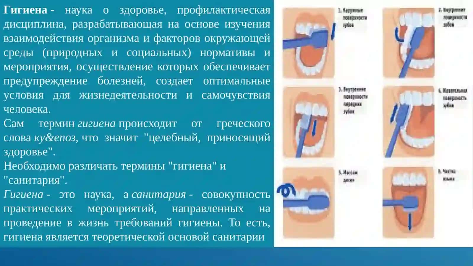 Гигиена и её задачи 2