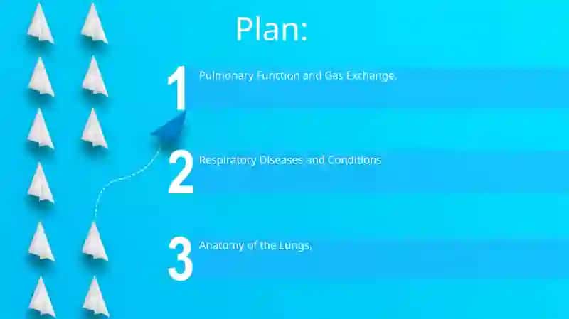 Lungs and pulmonary system 2