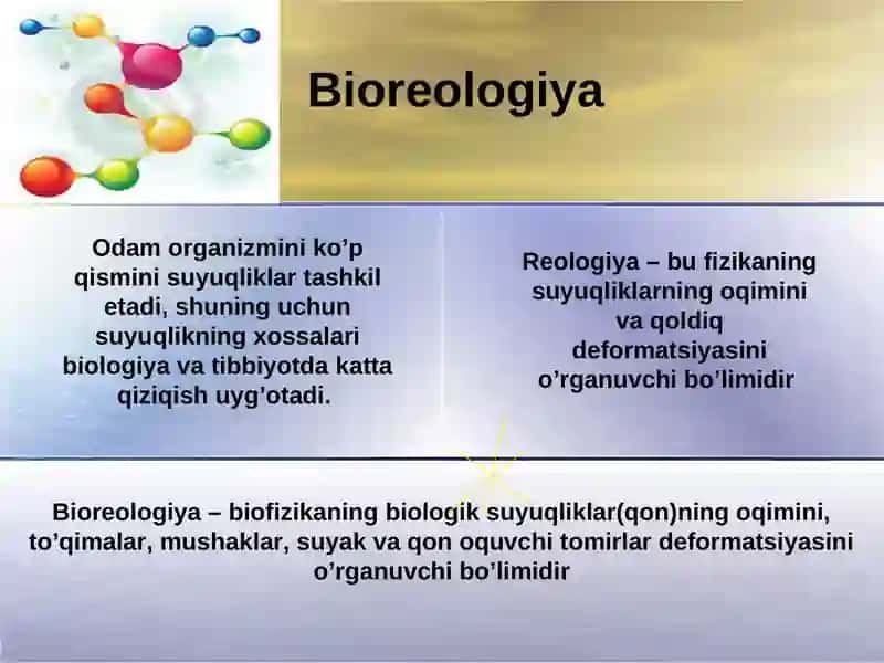 Bioreologiya 2