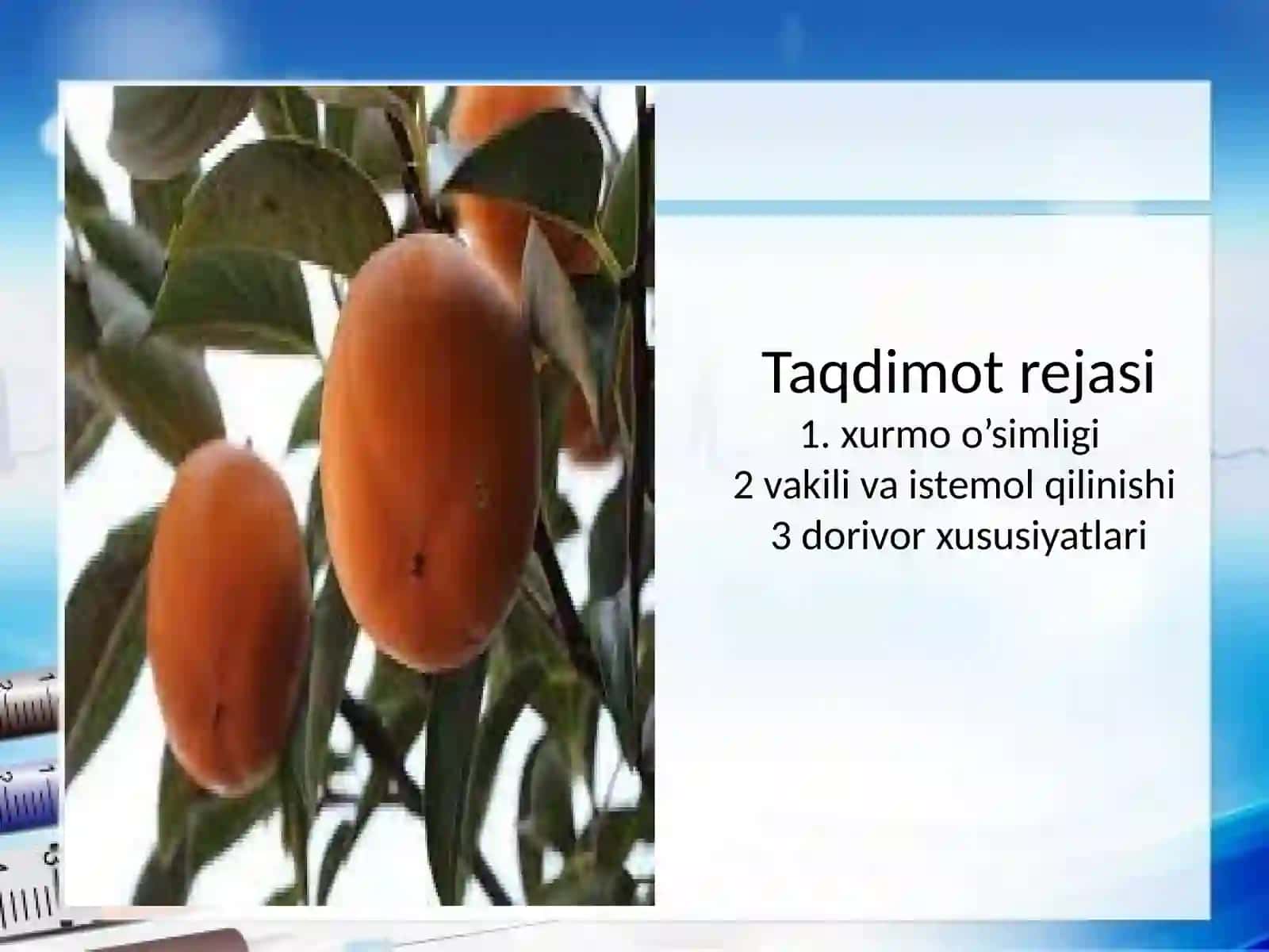 Xurmo va xurmodoshlar 2