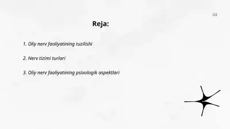 Oliy nerv faoliyating tiplari 2